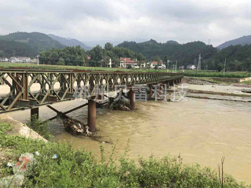 國(guó)內(nèi)貝雷橋11